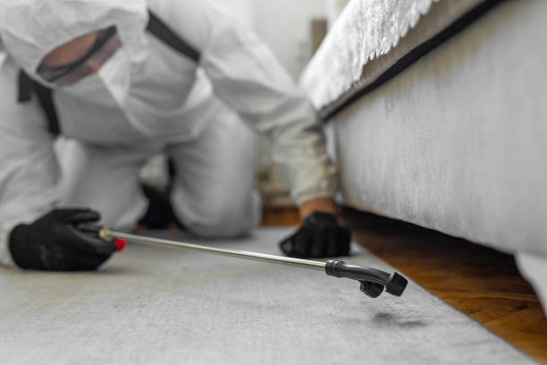 Professional Bed Bug Control technician working in Shell Rock, IA