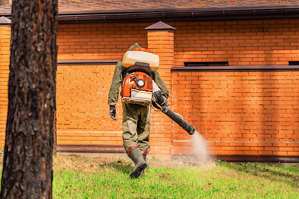 Trusted Cockroach Control service in Shell Rock, IA - Nex Pest Control